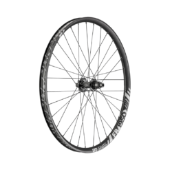 DT Swiss FR 1950 Classic 29 12x148mm Boost Laufrad Hinten