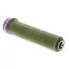Ergon GD1 Evo Factory Frozen Moss/oil-slick Lenkergriffe