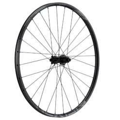 NEWMEN EVOLUTION SL X.A.25 29˝ Fade Straightpull 12x148mm Sram XD Laufrad Hinten