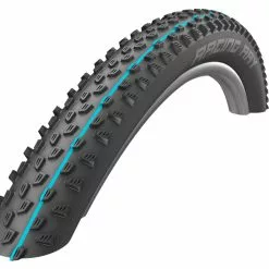 Schwalbe Racing Ray Addix Speedgrip SnakeSkin Tubeless Easy 29x2.1 Reifen