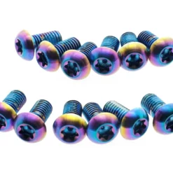 Sram Titanium Befestigungsschrauben Bremsscheibe Rainbow Oil Slick